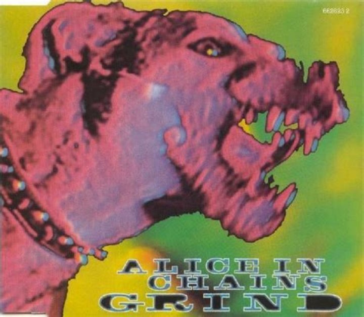 Alice In Chains’s
Grind Lyrics