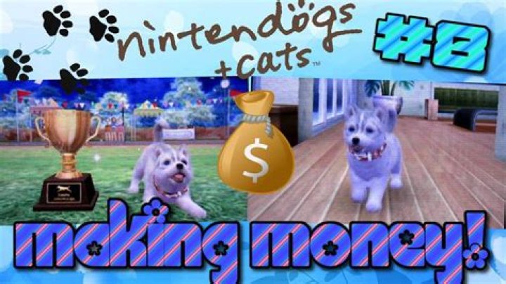How do you get money fast on nintendogs cats
